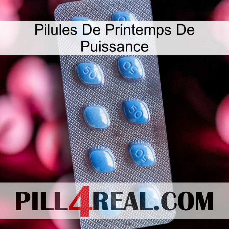 Power Spring Pills viagra3
